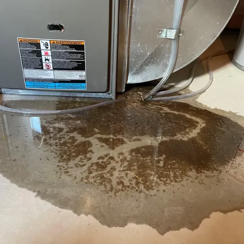 Appliance Leak Cleanup in Connersville, IN